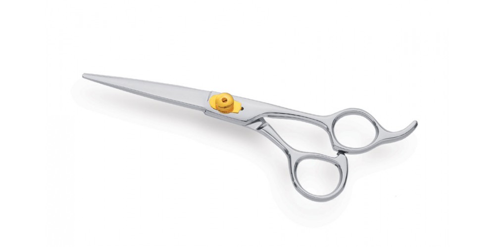 Professional Hair Cutting Scissors 